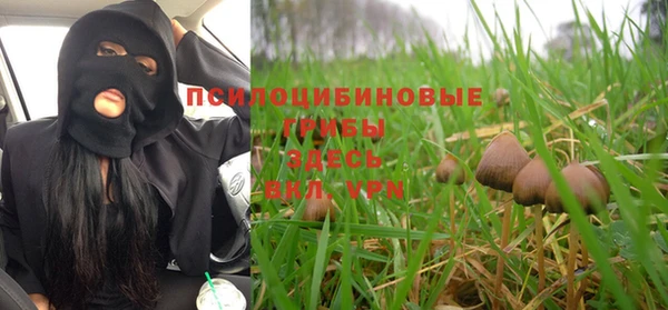 соль курить ск Бородино