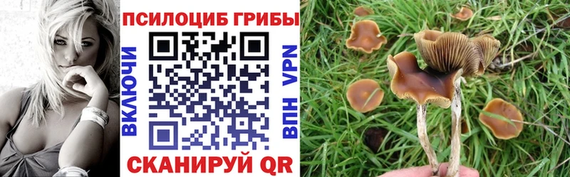 Купить  Озёры  Галлюциногенные грибы MAGIC MUSHROOMS 