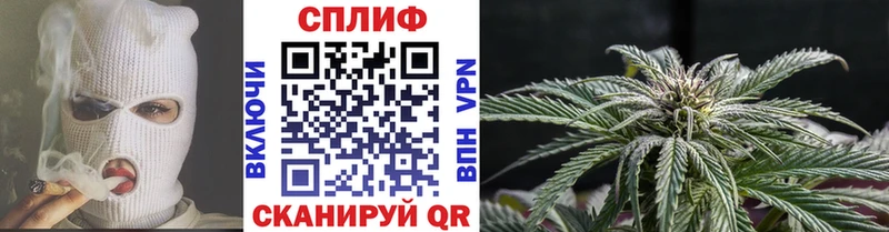 Купить где  Озёры  Конопля SATIVA & INDICA 